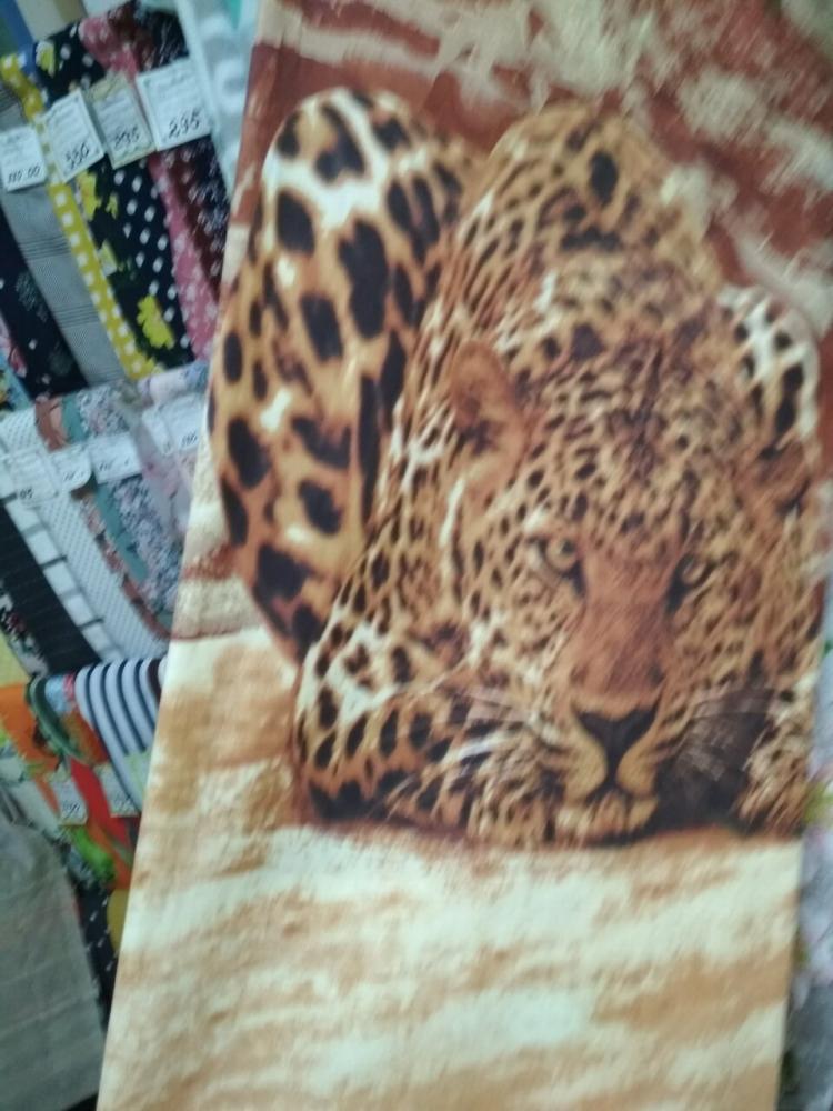 слайд